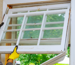 Window Replacement: The Secret to Cutting Your Energy Bills This Year