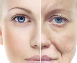 The Truth About Aging: A Scientific Guide to Anti-Aging