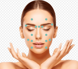 Your Face’s Natural “Beauty Points” — Gently Massage Them Daily for a More Radiant You